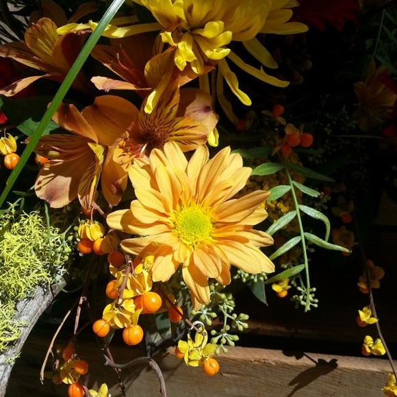 Meet your Posher, Rinda - Picture 1 of 1